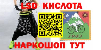 крисы Кунгур