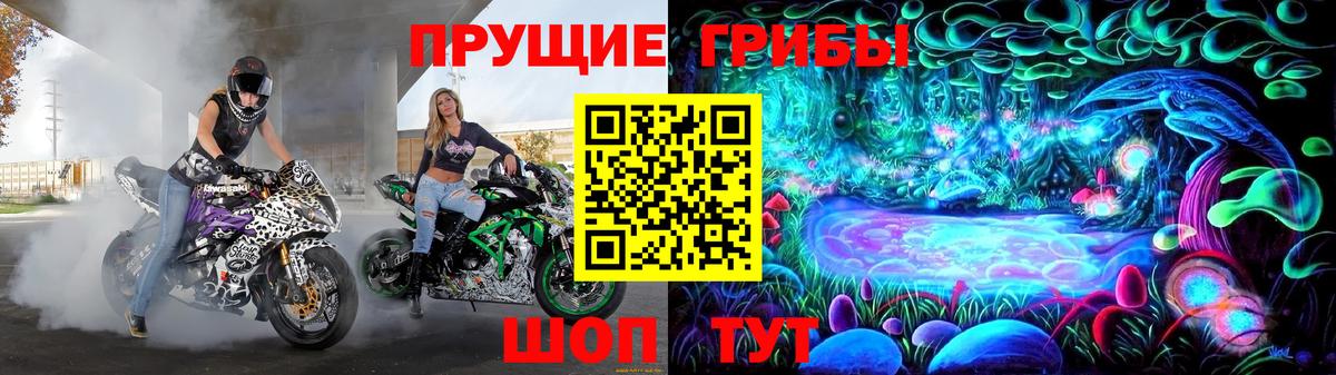 Псилоцибиновые грибы Psilocybe  что такое   Татарск  Галлюциногенные грибы MAGIC MUSHROOMS  Вход с VPN 