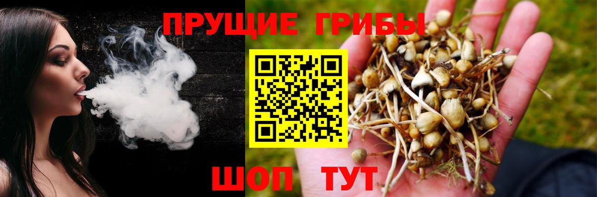 Галлюциногенные грибы MAGIC MUSHROOMS Татарск